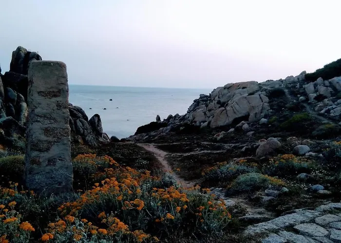 La Rosa Dei Venti * サンタ・テレーザ・ガッルーラ